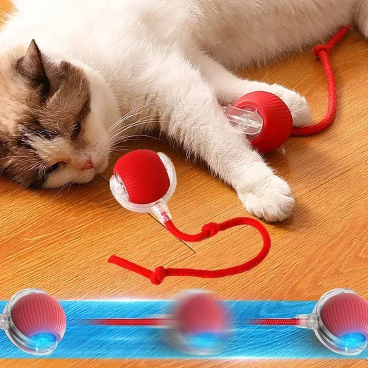 Pets Teasing Ball for dogs & cats